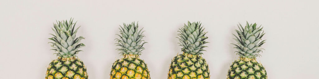 Top halves of four pinapples in a row on white background. 